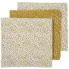 Barva honey gold