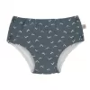Barva jags blue