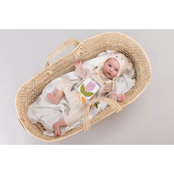 Taf Toys Kostka Zahrada