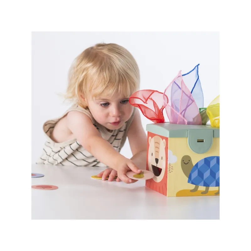 Taf Toys Magic box
