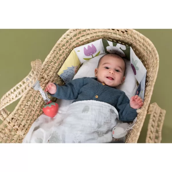 Taf Toys Sada pro nejmenší Outdoors Kit