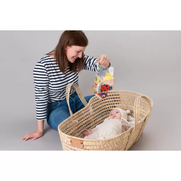 Taf Toys Kostka Zahrada