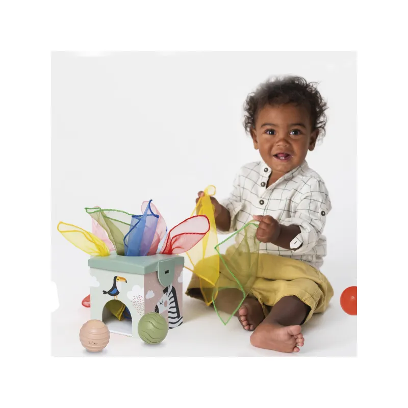 Taf Toys Magic box