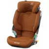 Barva 2024 Authentic Cognac