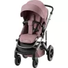 Barva 2025 Dusty Rose