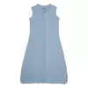 Barva Blue Fogg