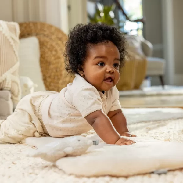 INGENUITY Houpačka konvertibilní vibrující s melodií Every Season™ Chic Boutique™ 0m+ do 9 kg