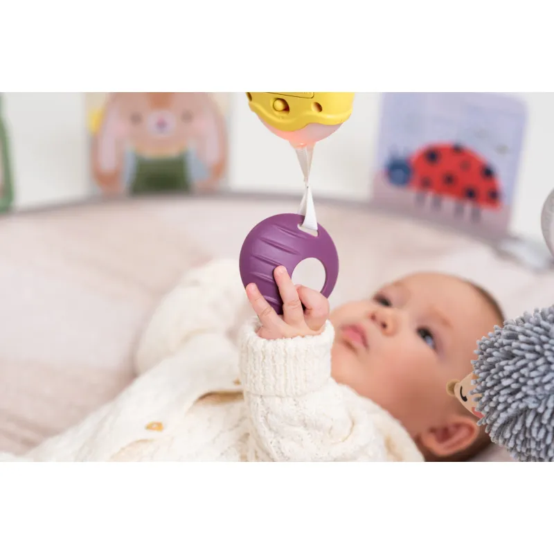 Taf Toys Hrací deka s hrazdou pro hru na bříšku