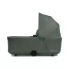 Barva Forest green