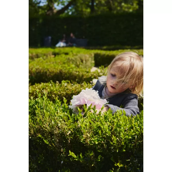 EASYWALKER Kočárek kombinovaný Harvey⁵ Premium XXL RWS + CYBEX Aton B2 i-Size