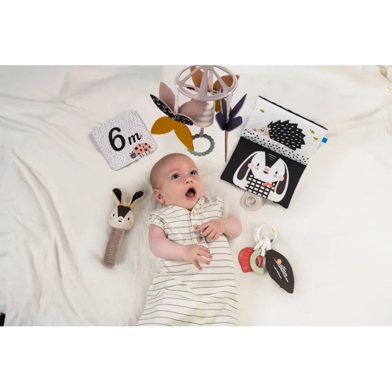 Taf Toys Sada hraček Black&White Kit