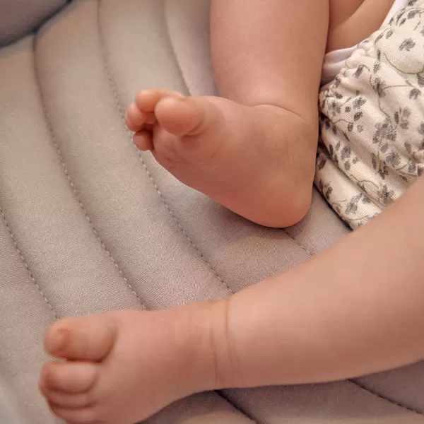 Inglesina Kočárek Aptica XT Darwin Recline 4v1