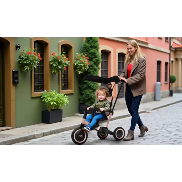 Zopa Tříkolka Razor Pro 6v1