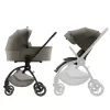 Barva 2025 Urban Olive