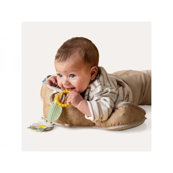 Taf Toys Polštářek pro hru na bříšku Medvěd