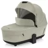 Barva Boss Grey