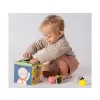 Taf Toys Box s aktivitami Play & Discover