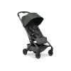 Barva Forest green