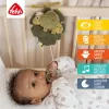 Baby Fehn Hrací chameleon, Crazy