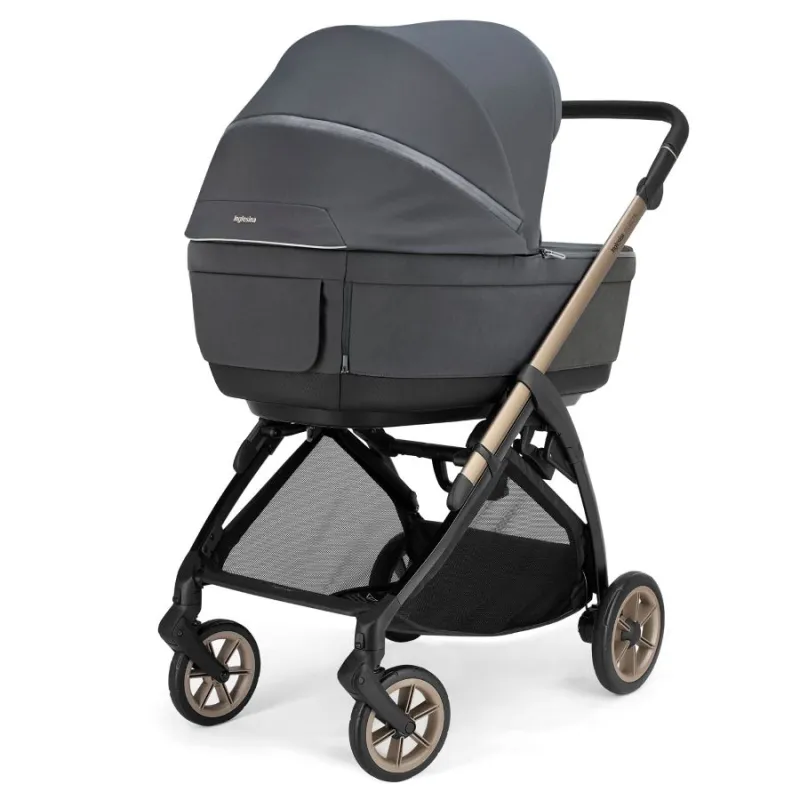 Inglesina Kočárek Electa Darwin Recline Evo 4v1
