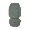 Barva Forest green