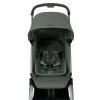 Barva Forest green