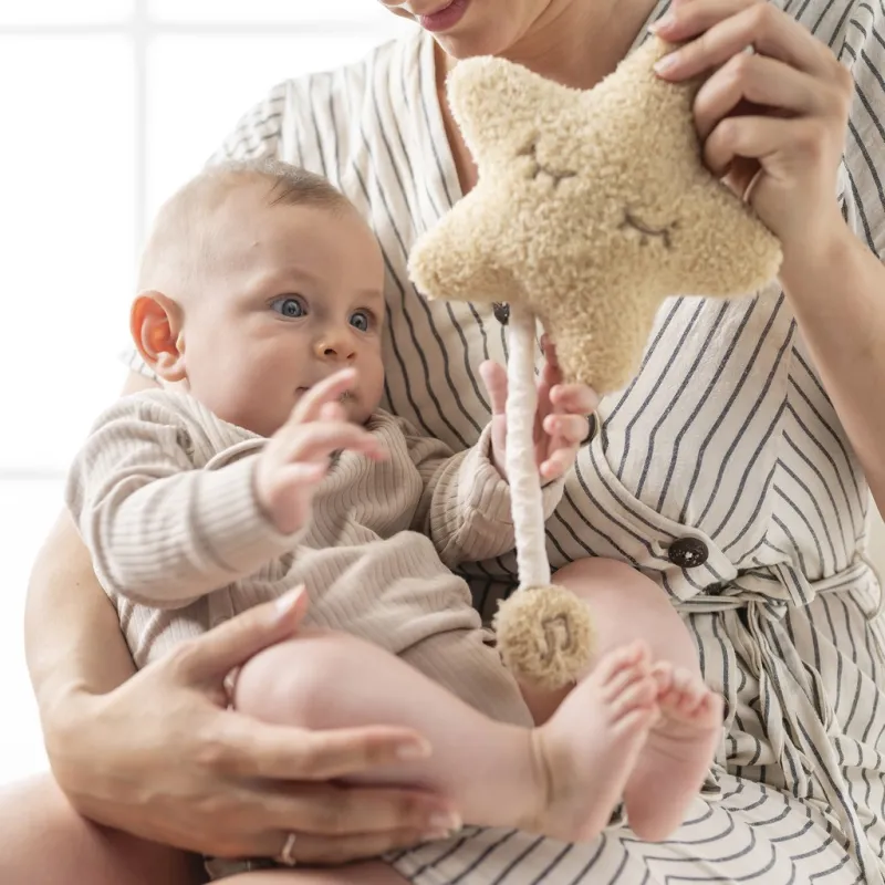 NATTOU Hračka hudební Teddy hvězdička 25 cm, 0m+