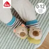 Baby Fehn Chrastící ponožky capybara