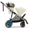 Barva 2025 Seashell Beige (Taupe Frame)