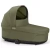 Barva 2025 Moss Green