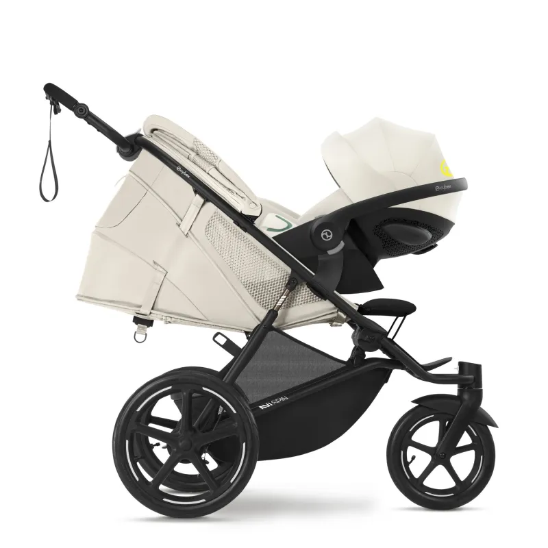 CYBEX Avi Spin