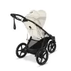 CYBEX Avi Spin
