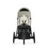 CYBEX Avi Spin