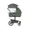 Barva Forest green