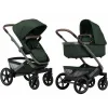Barva Forest Green