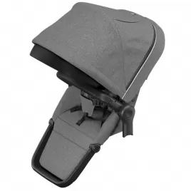 Thule Sleek Sibling Seat